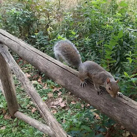 Inalpi Arena Da Salvo, Santa Rita, Apartament *