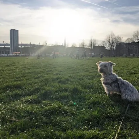 Inalpi Arena Da Salvo, Santa Rita, Апартаменты